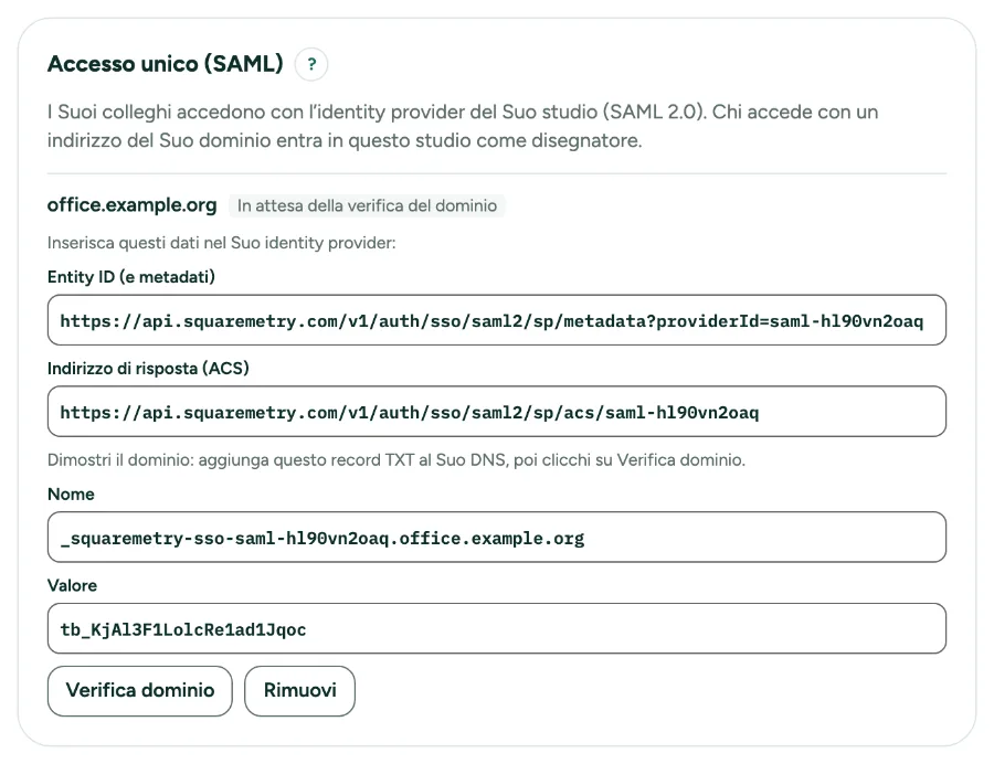 Impostazioni, Team, con Accesso unico: i nostri dati, il record TXT e Verifica dominio.
